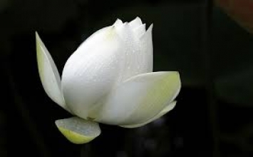 Hạ sỹ dưỡng thân, trung sỹ dưỡng khí, thượng sỹ dưỡng tâm.